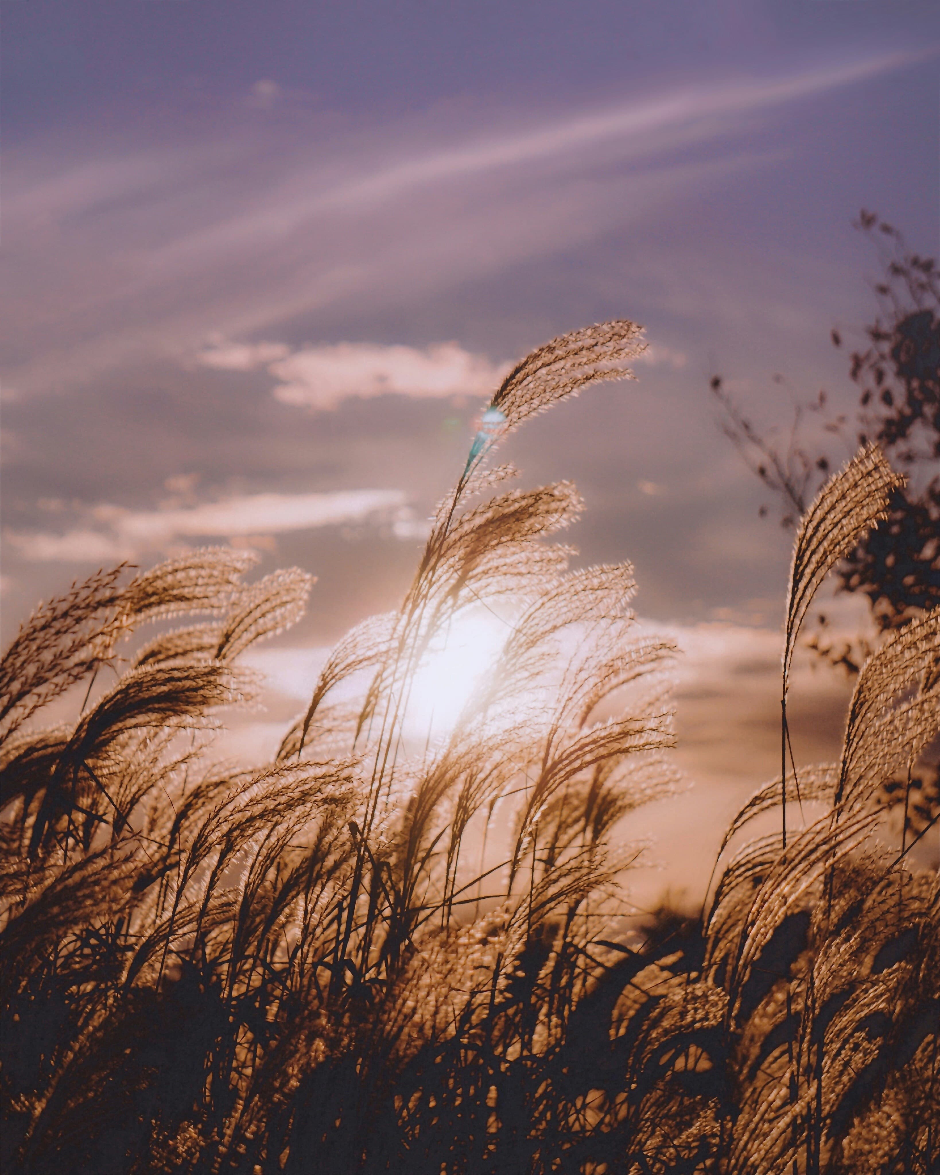 Peaceful counseling environment